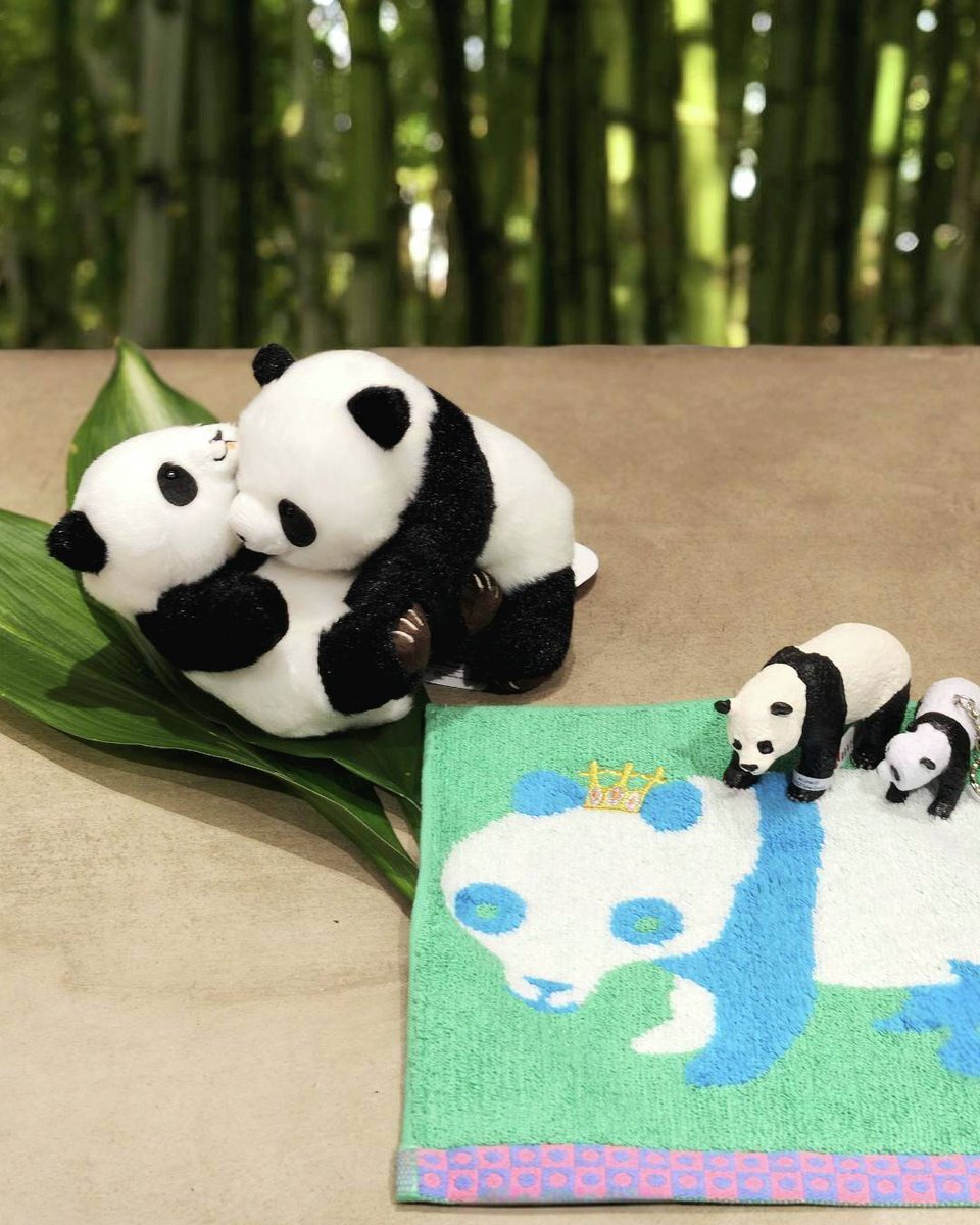 TOKYO!!!（トーキョーみっつ） tweet media