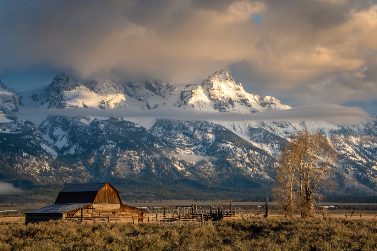 Dan Kinghorn tweet media