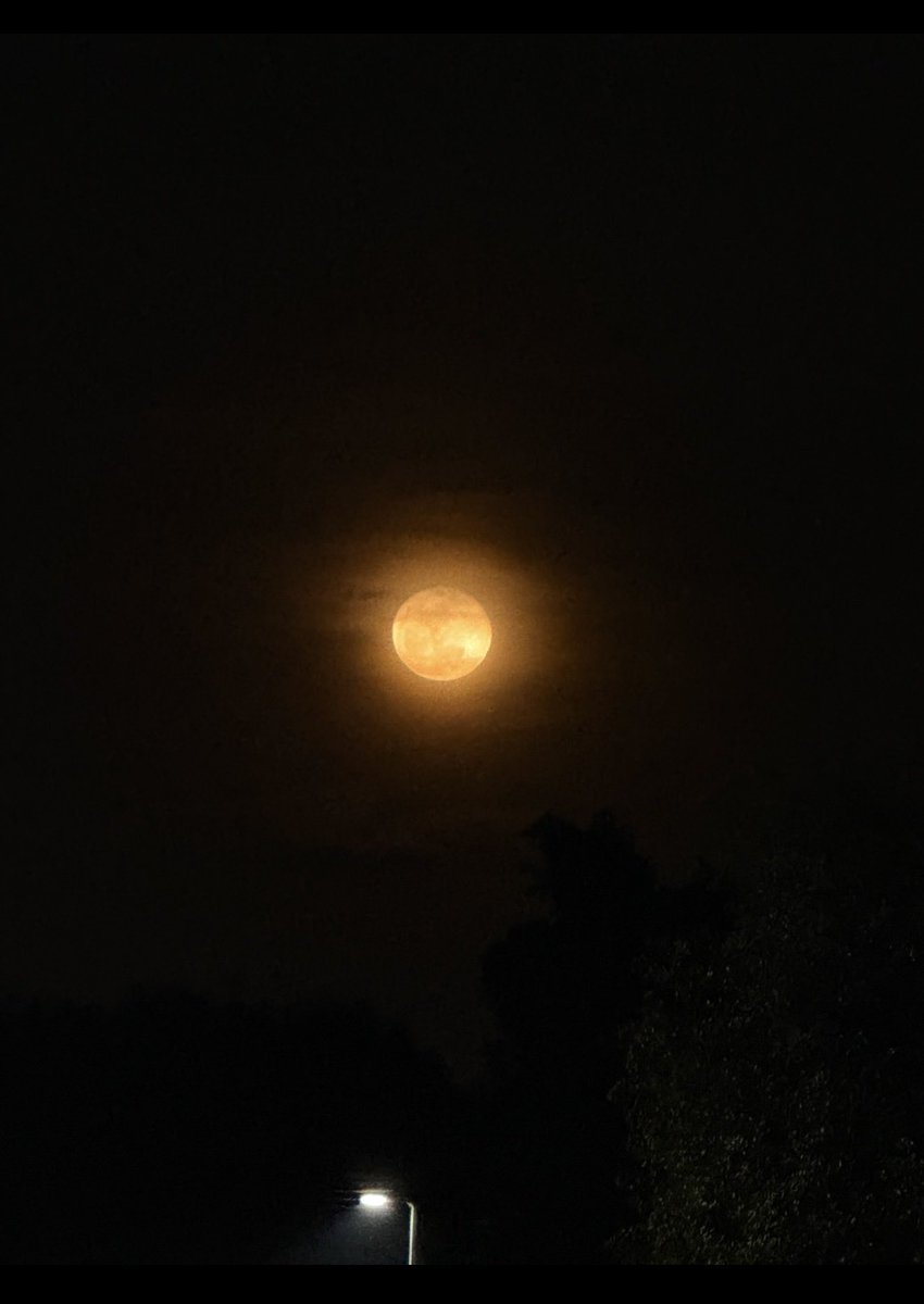 marilerie's tweet photo. Full Moon 🌕 Calabasas, CA. #fullmoon #wormmoon 🌕✨ https://t.co/R7EMr1IqJ9