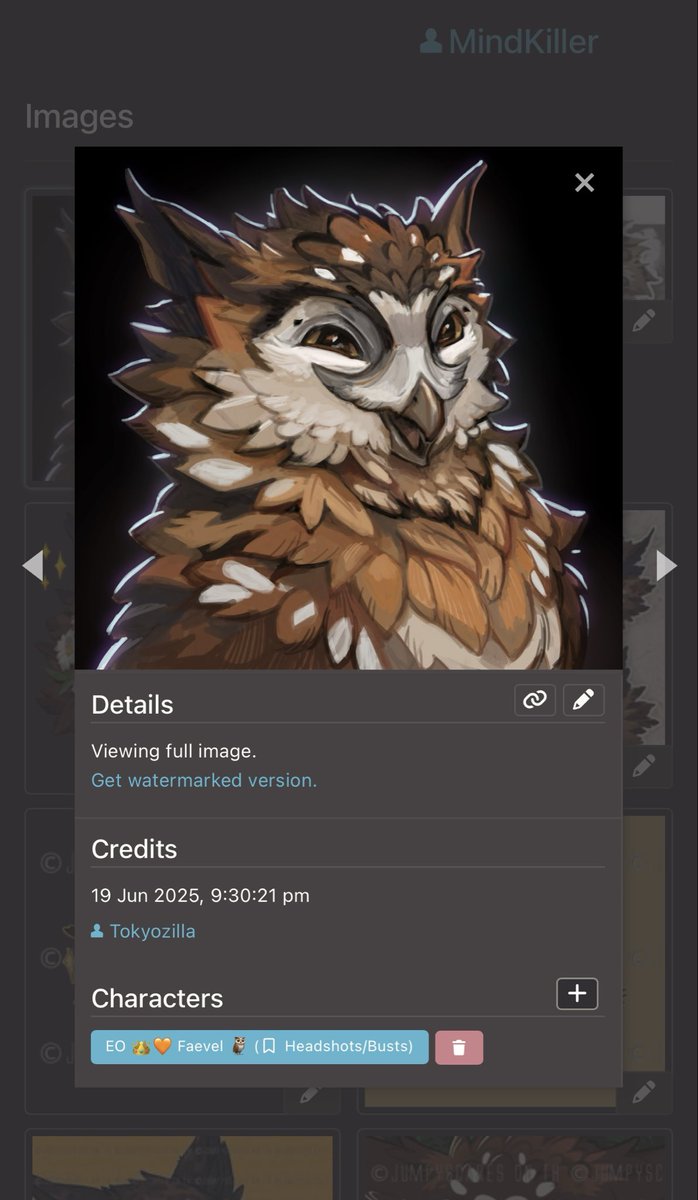 Alexis🏳️‍🌈 tweet media