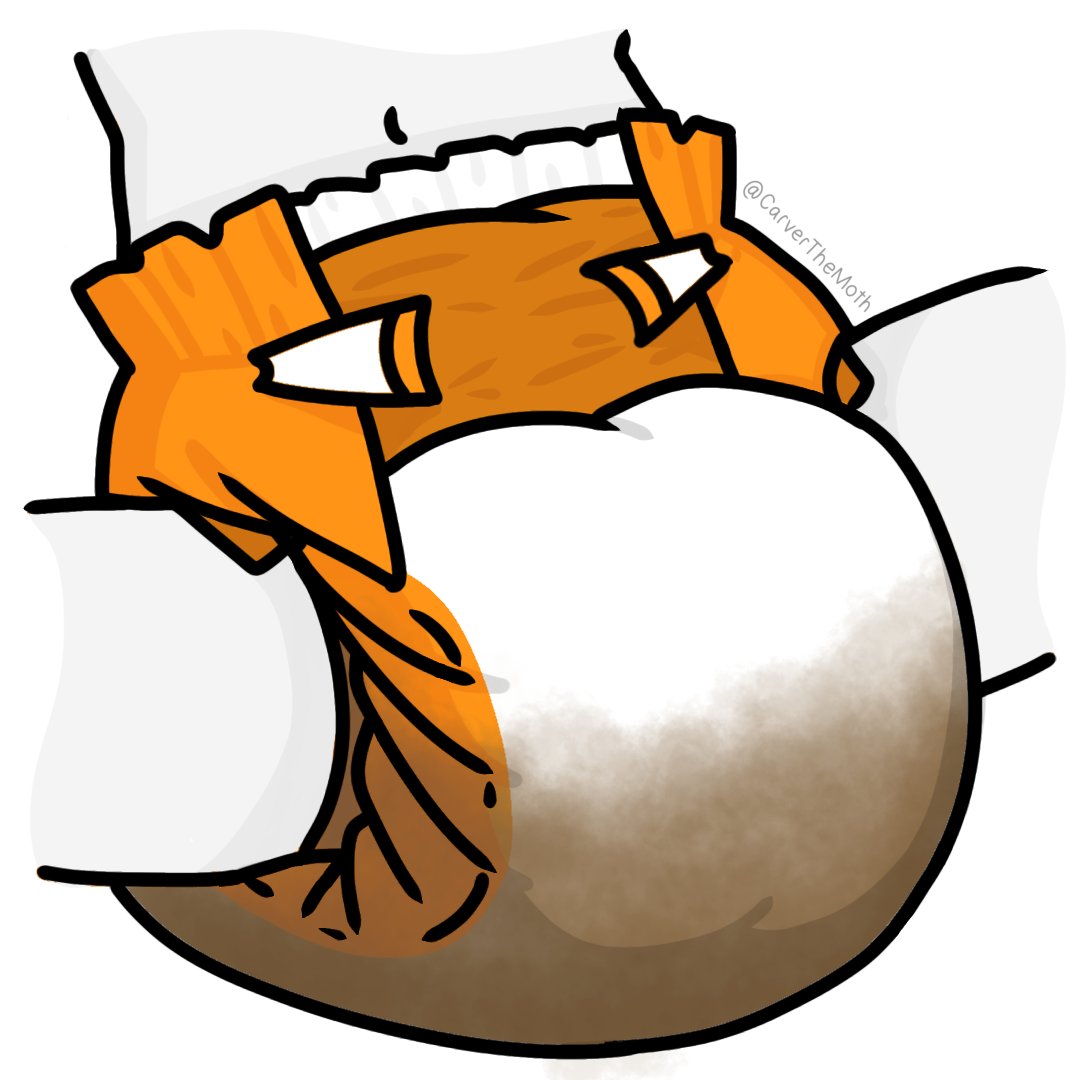 Carver (carverthemoth.bsky.social) tweet media