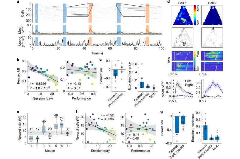 Mehdi (e/λ) tweet media
