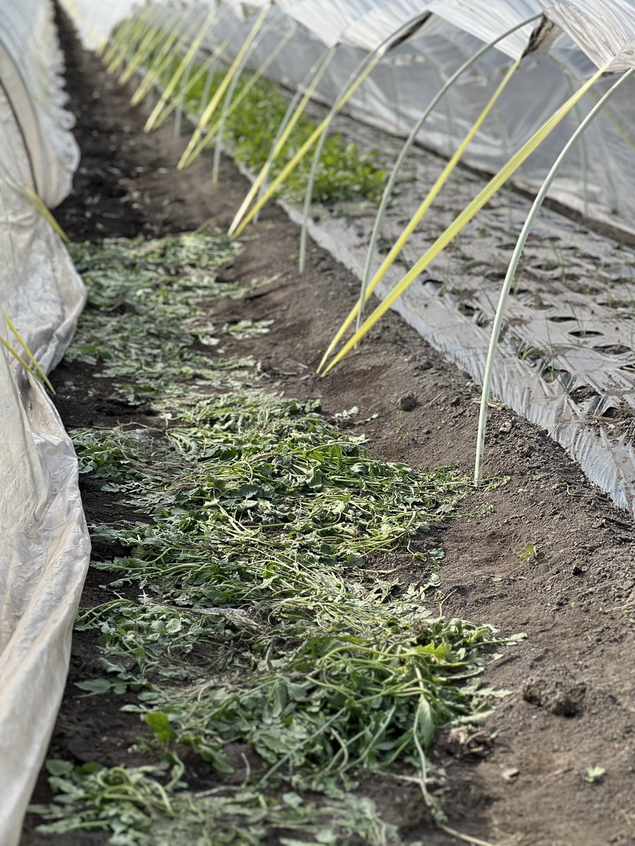 UTSUNOMIYA BASE tweet media