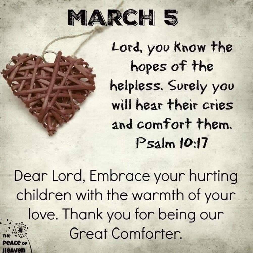 frances bruce tweet media