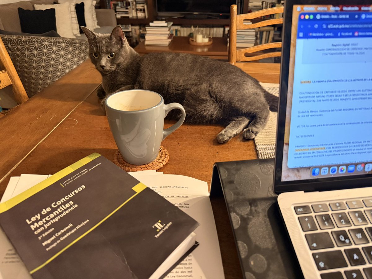 Lupita Hinojosa tweet media