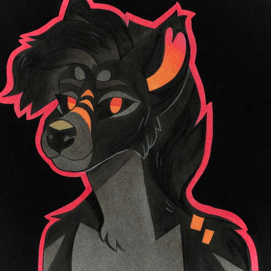 🍃Little Bunny🍃 tweet media