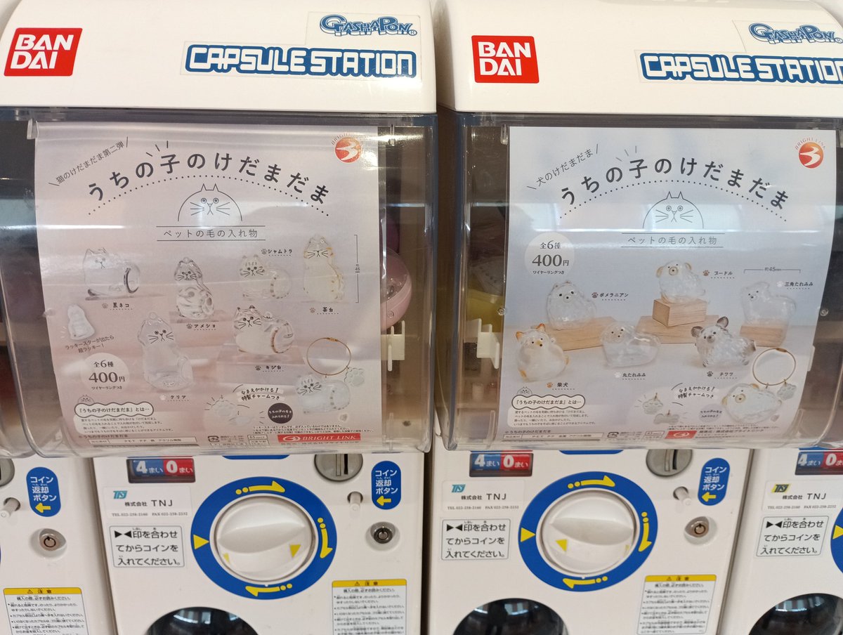 わんこ版とにゃんこ版あった！ にゃんこ2回まわしました🐈💕