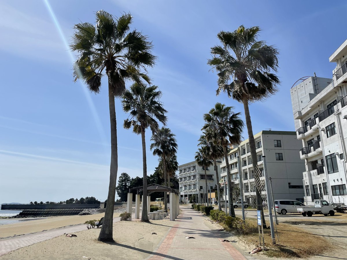 西本良敬 tweet media