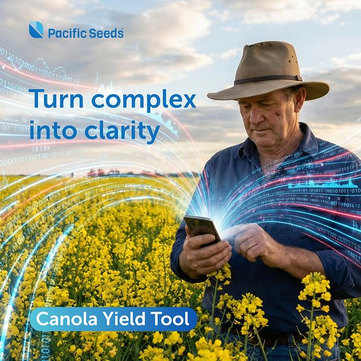 Pacific Seeds tweet media