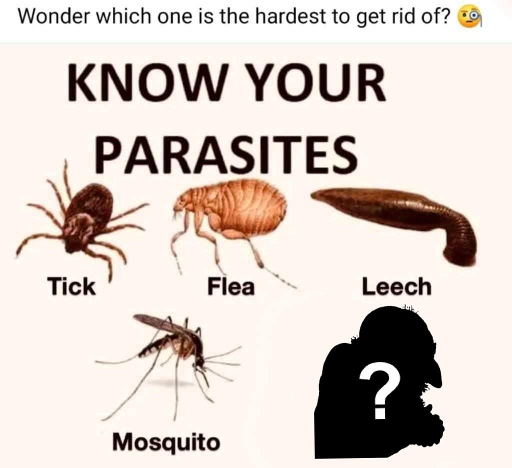 joedirt5 tweet media