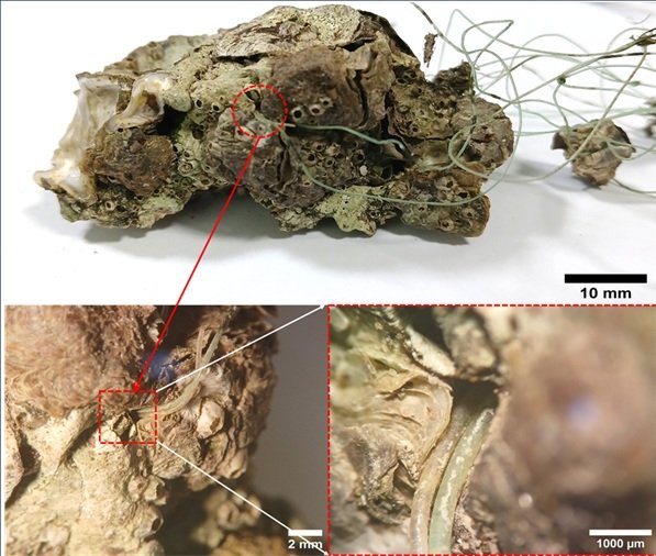 Punyasloke Bhadury tweet media