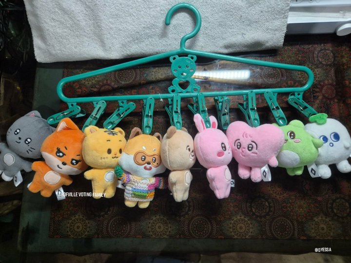 AHOFVILLE VOTING FAMILY tweet media