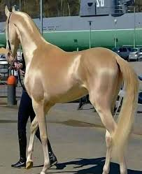 — ⛧ THE STAR. tweet media