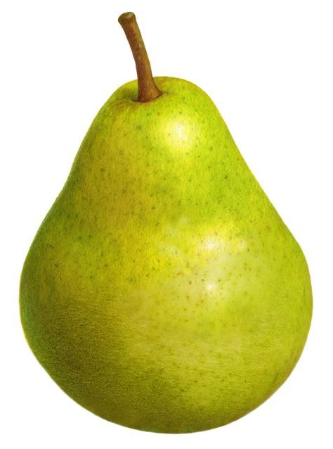 — ⛧ THE STAR. tweet media