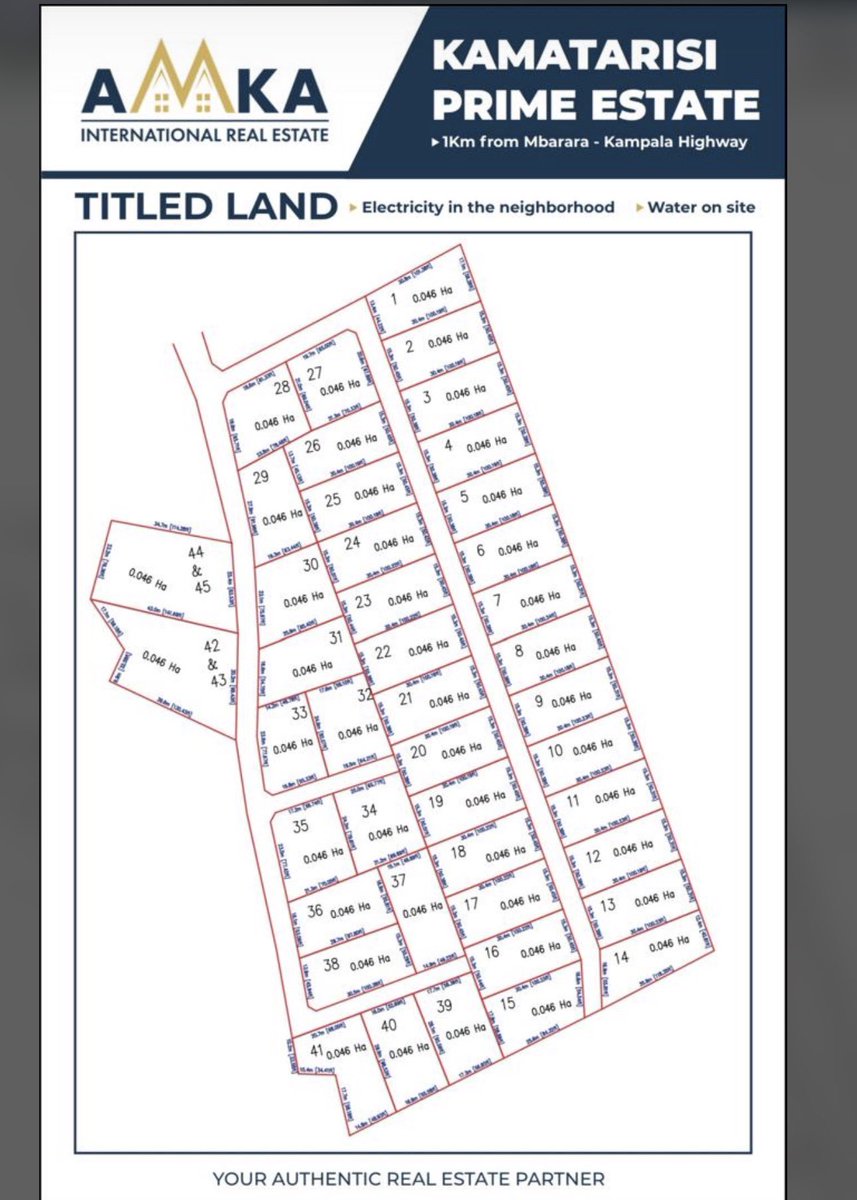 Amka International Real Estate tweet media