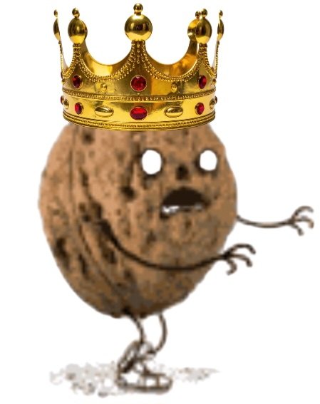 GodhelpusASAP tweet media