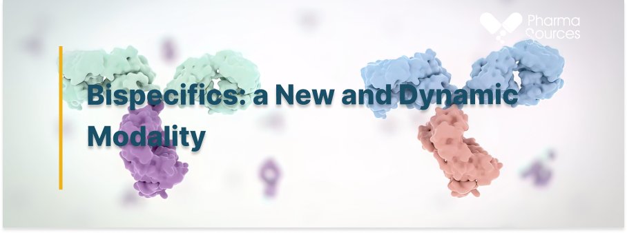 Pharmachina365's tweet image. Bispecifics: a New and Dynamic Modality pharmasources.com/industryinsigh… #PharmaSources #Pharma