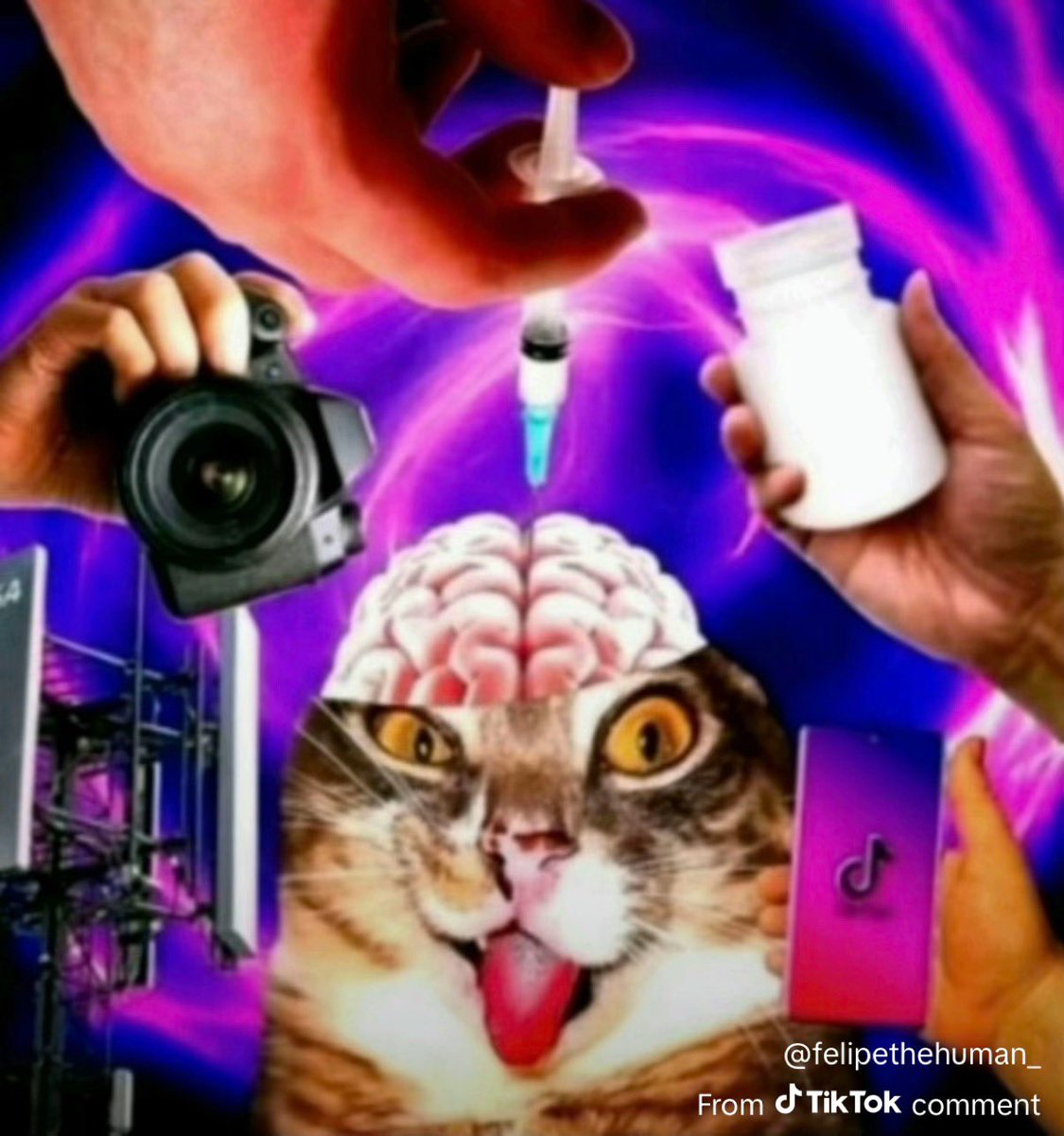 Toji Fushiguro 🎂 tweet media