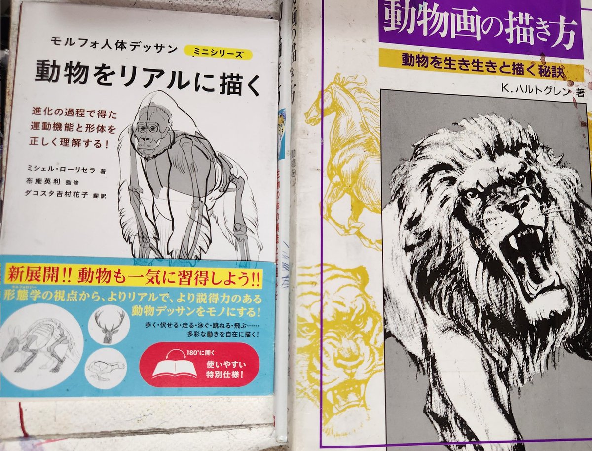 絵描きの多くがお世話になっている「モルフォ人体デッサン」シリーズ。突如、同、人体デッサンシリーズと銘打った動物の描き方だして来て、大概動物の描き方本はイヌ、ネコ、ウマ、ライオン、ひねって鳥あたりの描き方あたりから入るのに、この本初めに出てくるのがモグラなんだよな… 