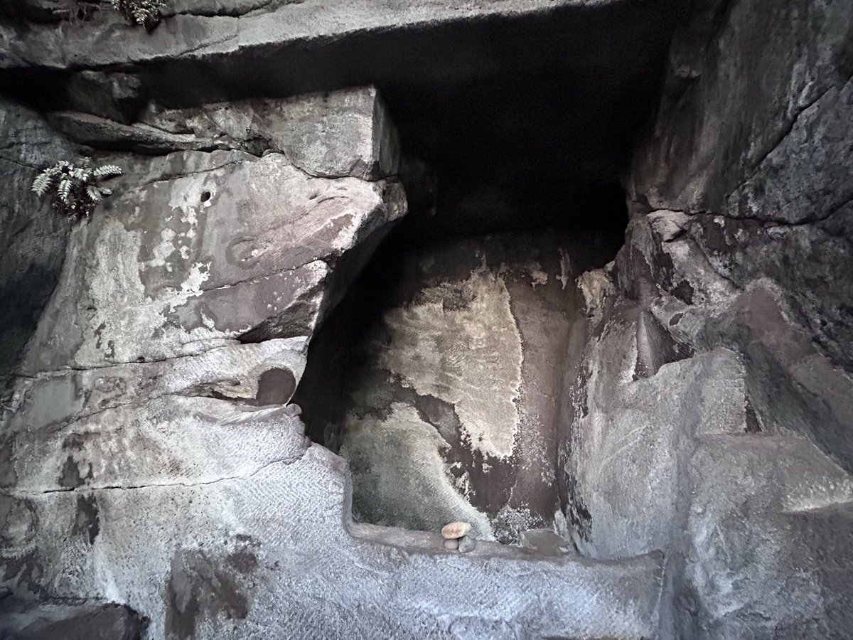 かぷちーの（momo) tweet media