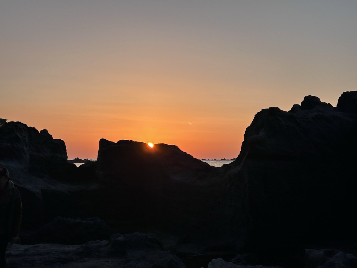 かぷちーの（momo) tweet media