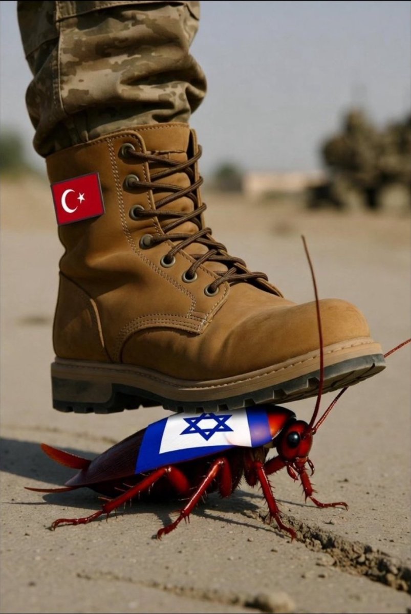 Ömer🇹🇷 tweet media