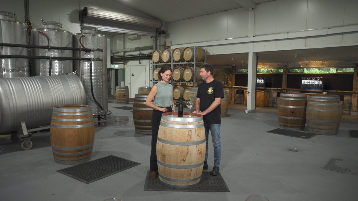 Channel 31 tweet media