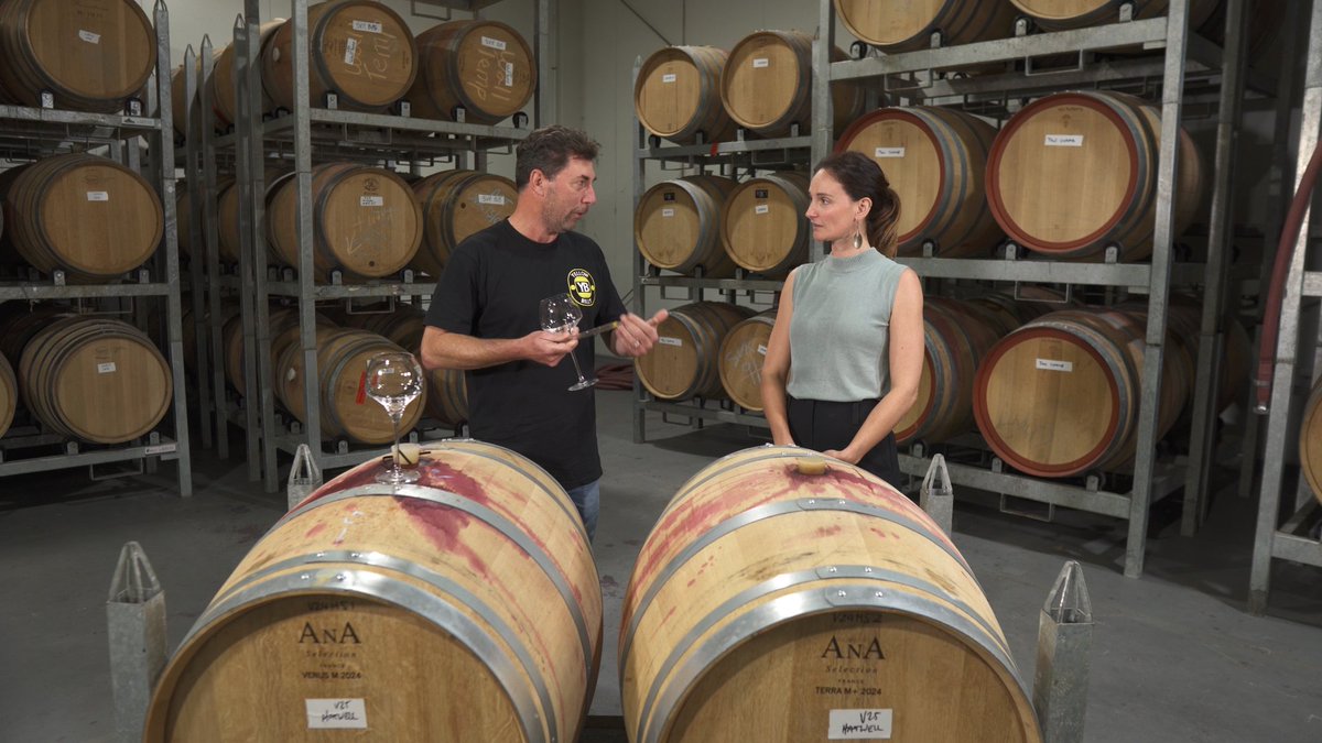 Channel 31 tweet media