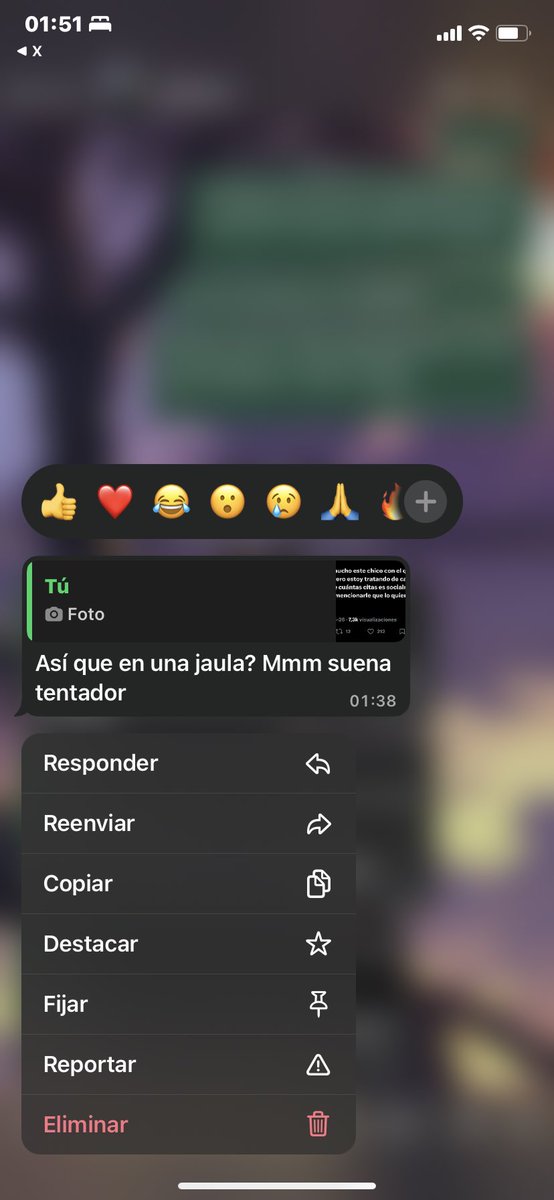 Musa Vix 💸 FINDOM tweet media