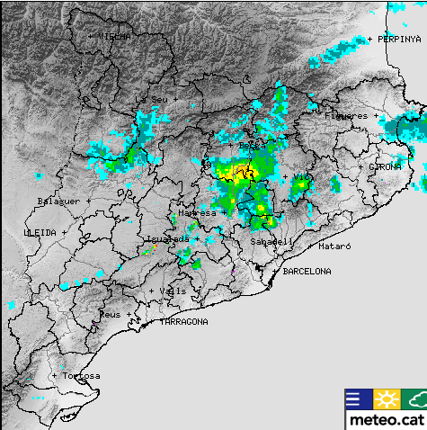 Mònica Usart tweet media