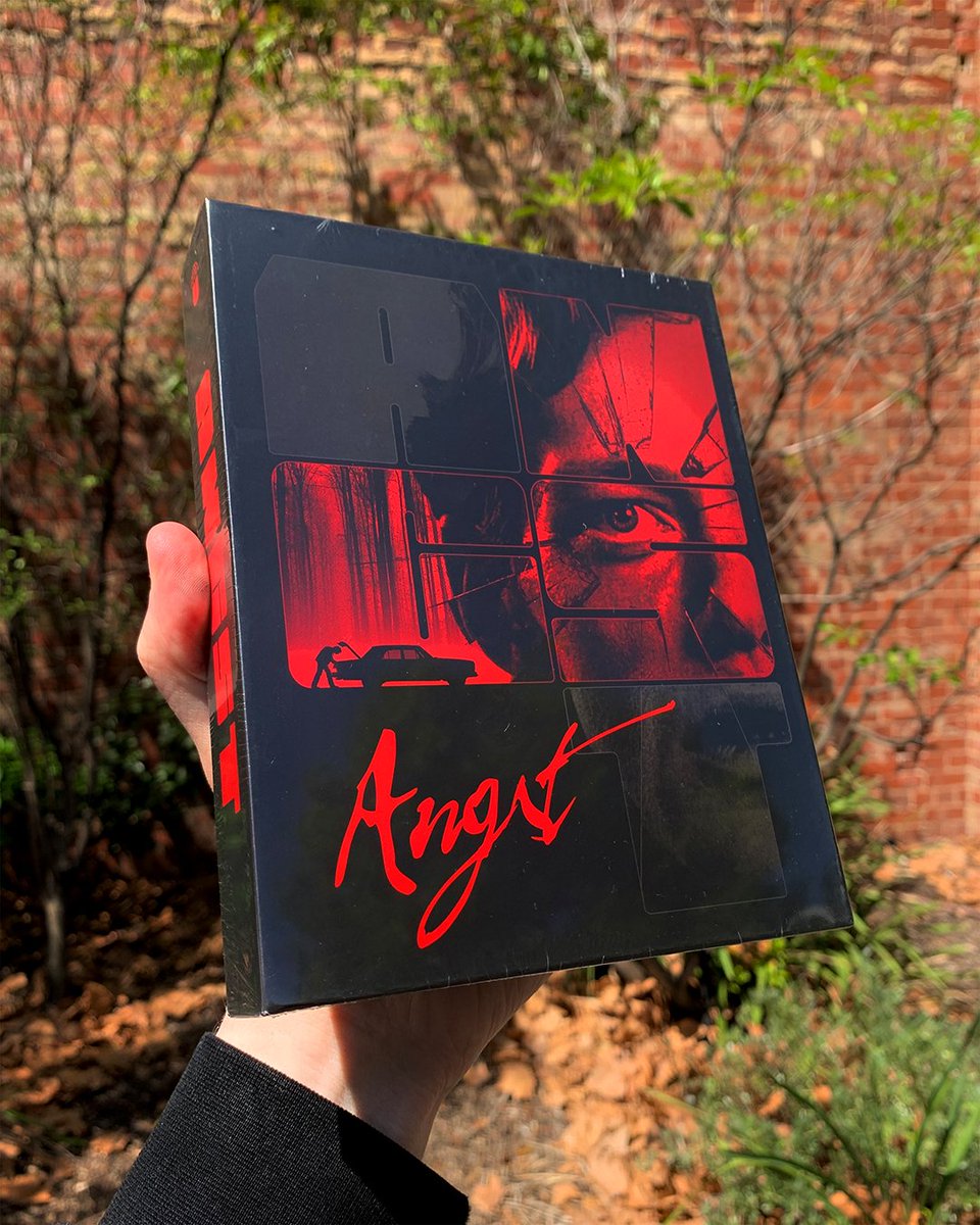 Umbrella tweet media