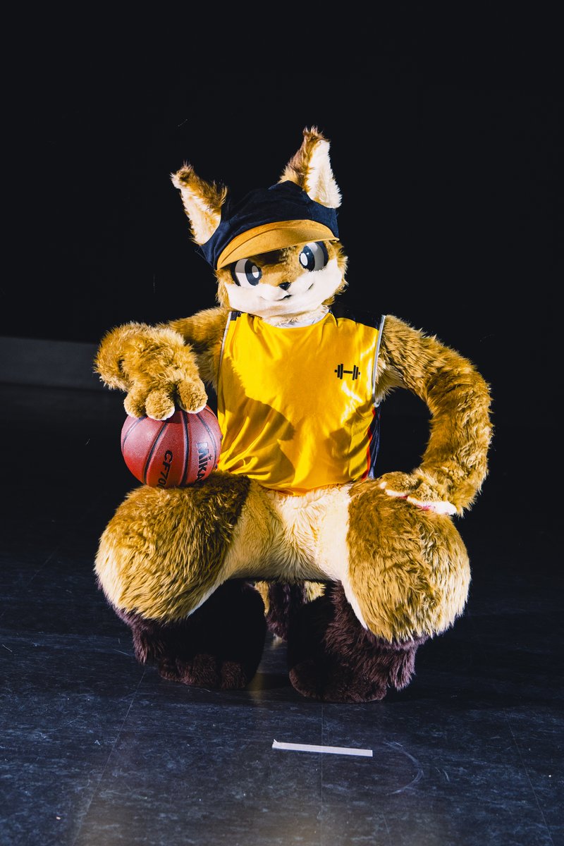 こだぎー tweet media