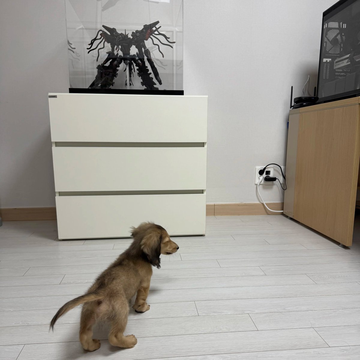 サツキ tweet media