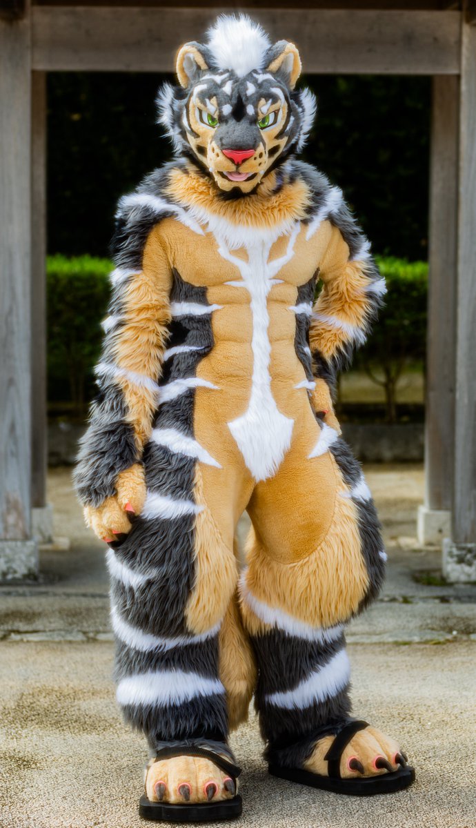 Zephyr🔜 Thaitails🇹🇭 tweet media