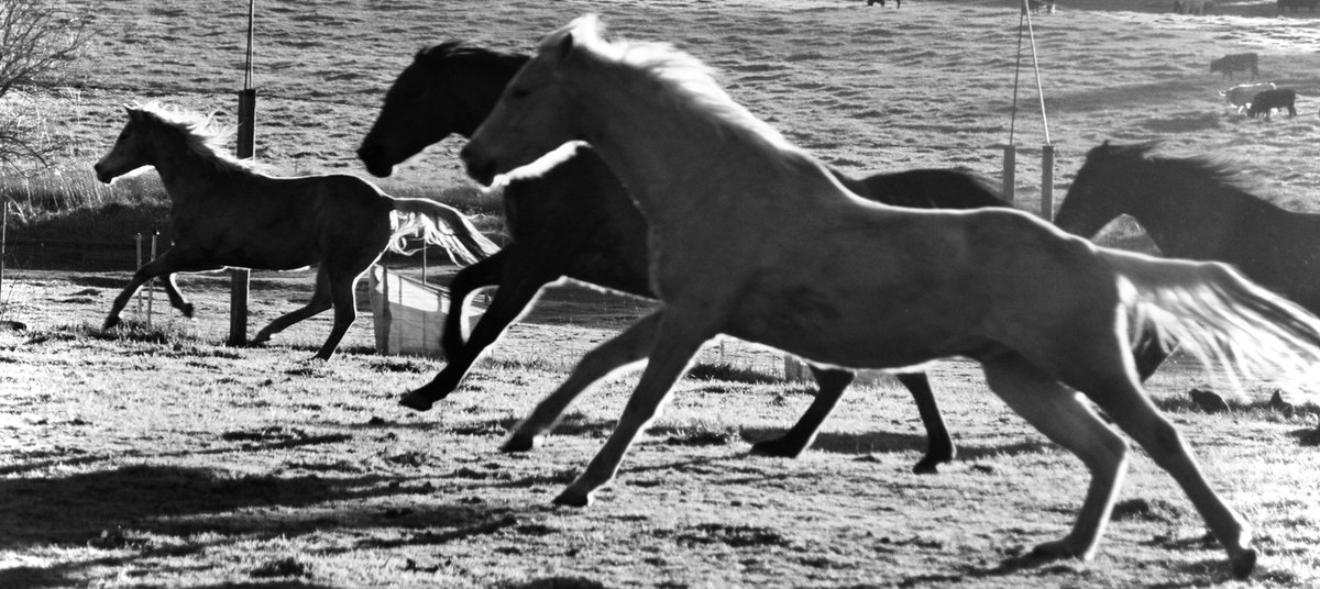 FarmerEm tweet media