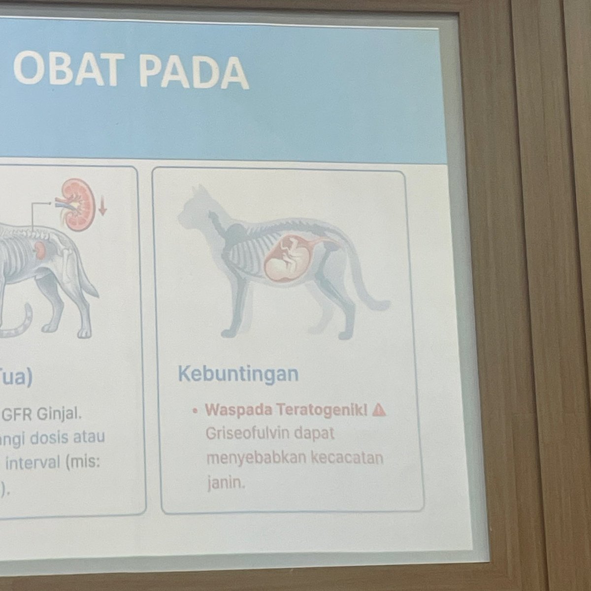 lovely g ꩜ .ᐟ tweet media