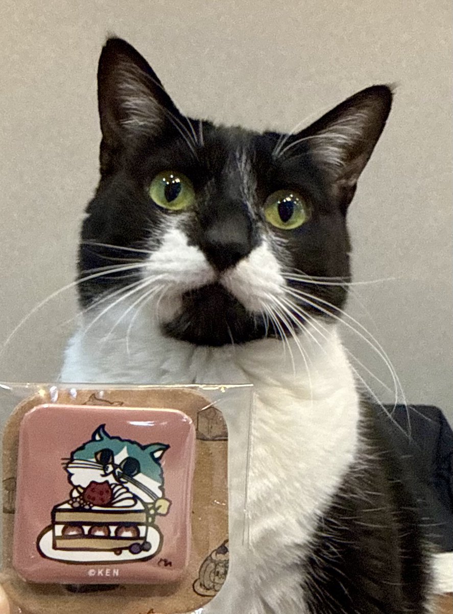 なみそ📕KEN/書籍重版！感謝📙 (@omochi_nam01) / Posts / X