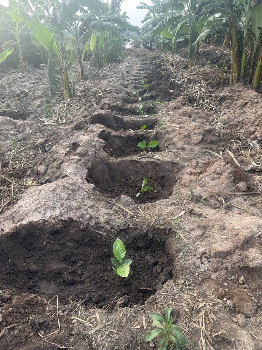 Novine Farm 🧑‍🌾 tweet media