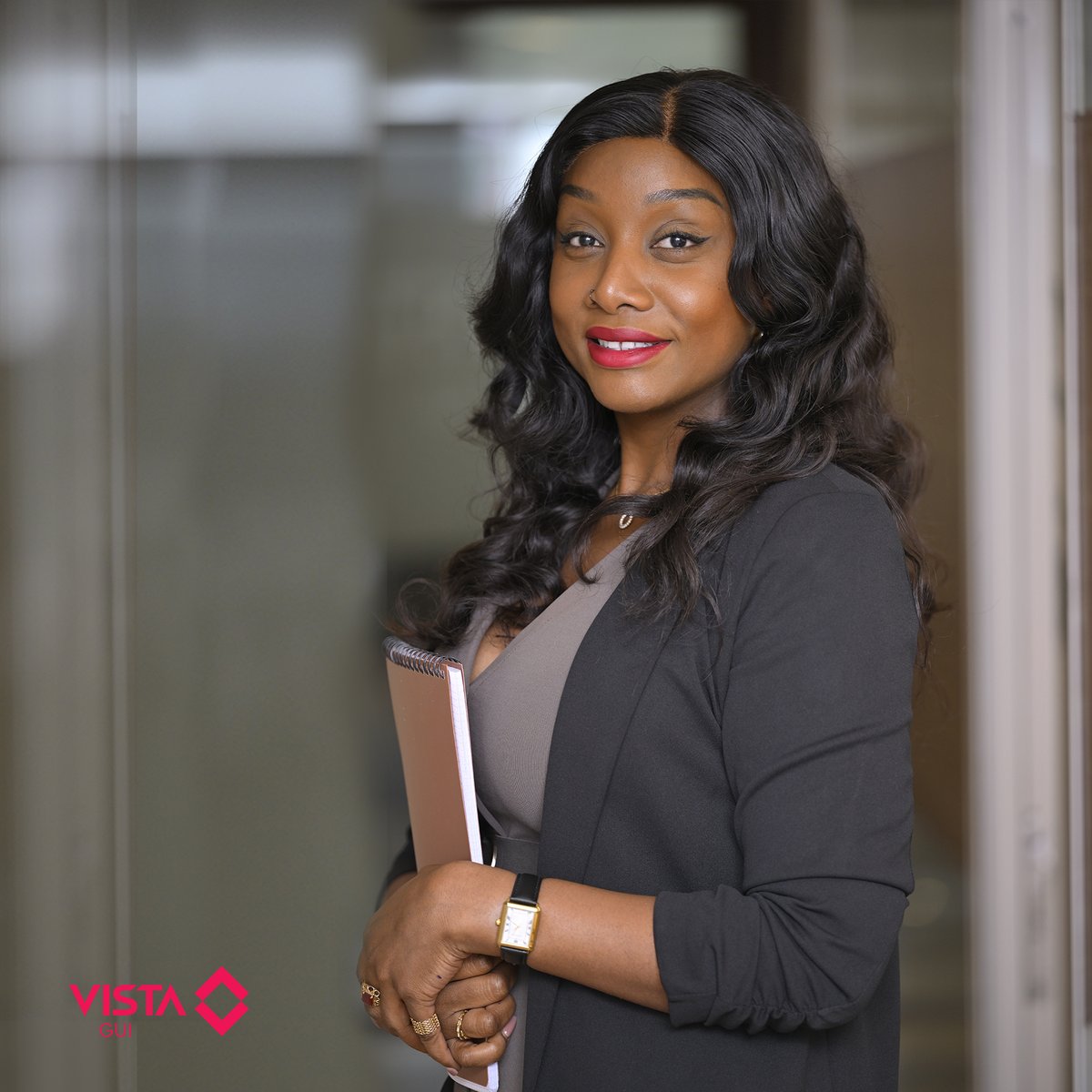 VISTA GUI tweet media