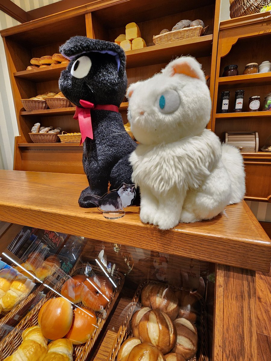 推し活