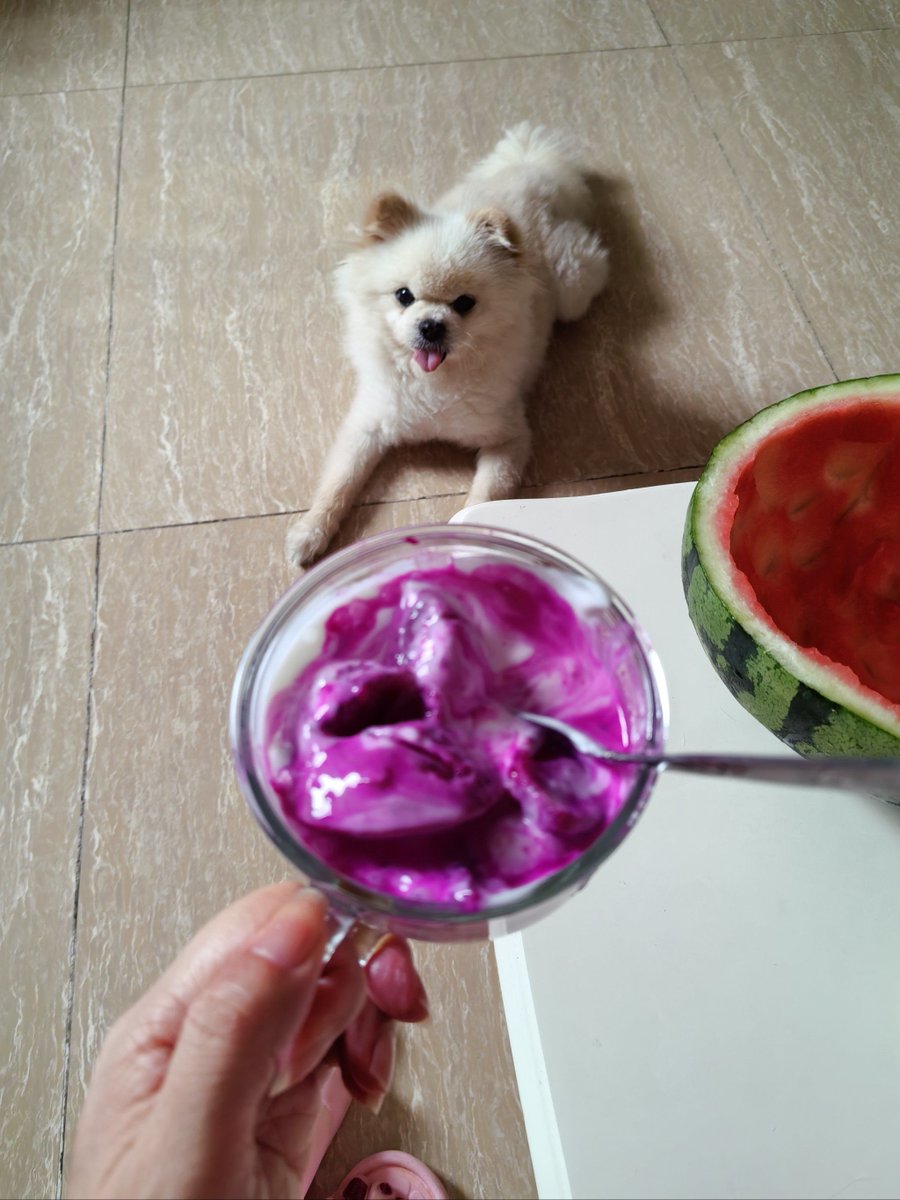 ShaneDoolittle1's tweet image. Sharing these crispy, sweet snacks with my squad—crunchy joy for everyone!  #SnackTime #ShareTheJoy