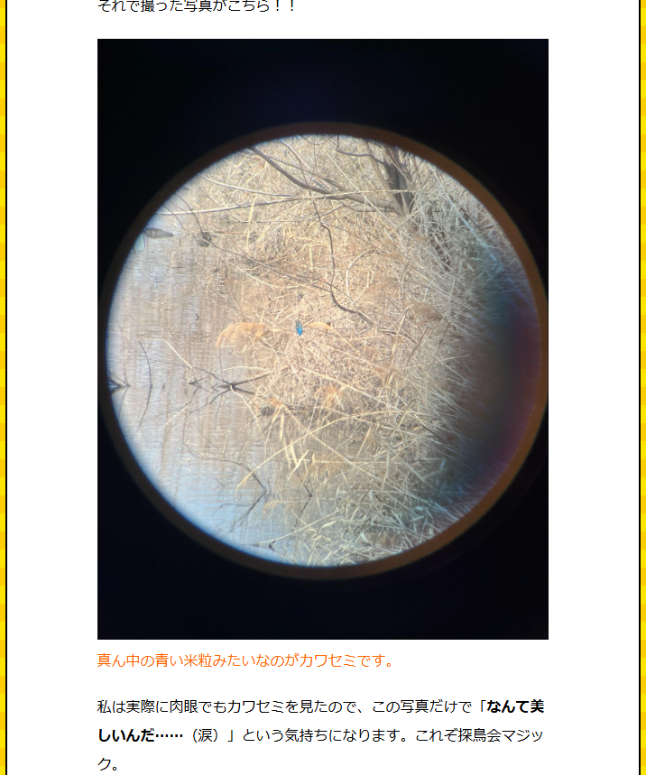 日本野鳥の会主催のバードウォッチングイベント「探鳥会」に参加してきました。
2月のまだ寒い時期なのにバンバン見つかる野鳥。玄人の説明を聞きながら取りを見られるぜいたく、そしてやってくる怒涛の珍鳥ラッシュ！春が楽しみになる記事です。
dailyportalz.jp/kiji/tanchokai