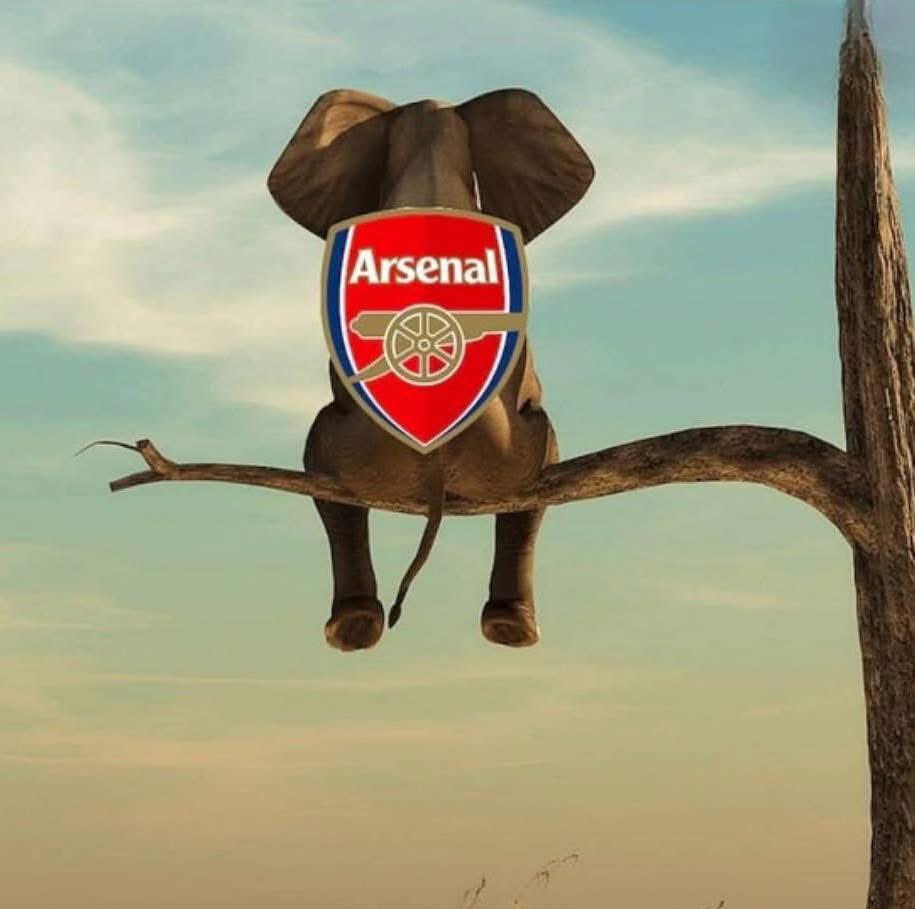 itslinuxx's tweet photo. @UTDTrey 😋😂😂 https://t.co/de0BvdOgJv