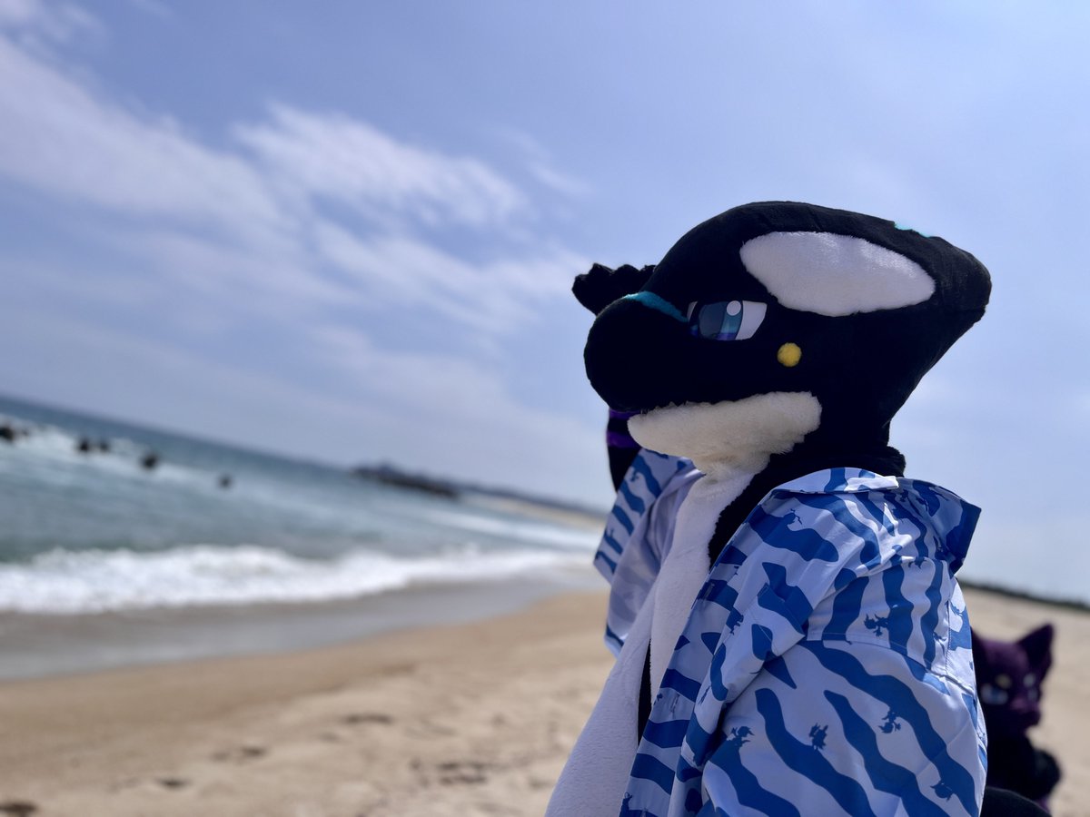 gabu Next→未定 tweet media