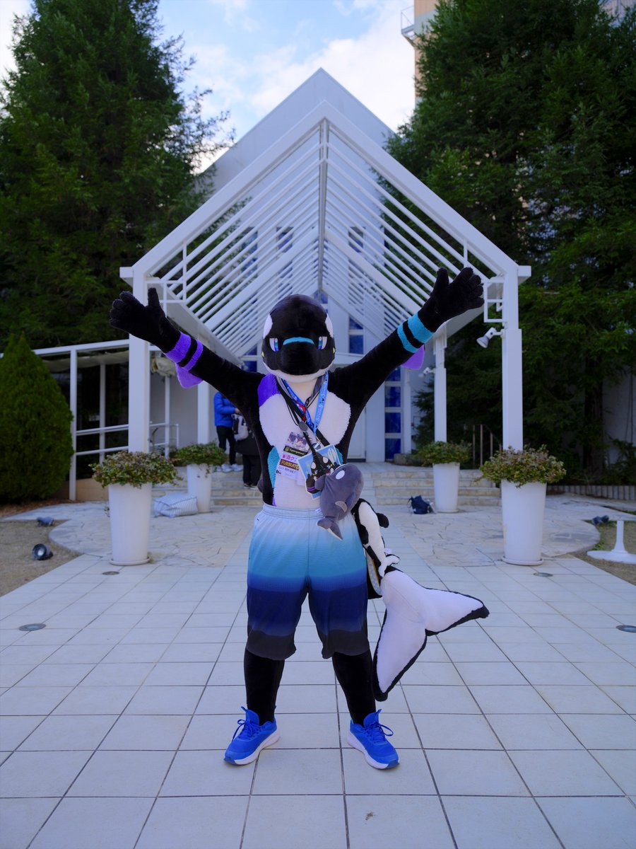 gabu Next→未定 tweet media