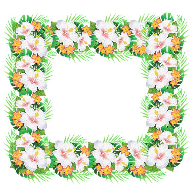 Oliver Issac tweet media