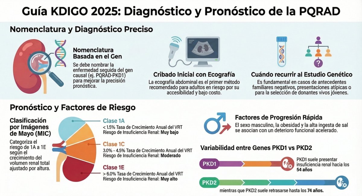 KDIGO 2025 redefine la PQRAD:
🔬 Diagnóstico basado en el gen
🩺 Ecografía como primer paso
📊 Clasificación Mayo para riesgo
🧬 Genética cuando es necesario <a href="/SENefrologia/">S.E.N. Nefrología</a> @SOMANE <a href="/m_furlano/">Mónica Furlano</a> <a href="/torra_roser/">Roser Torra</a> 
static.elsevier.es/nad/GuiasPQRAD…