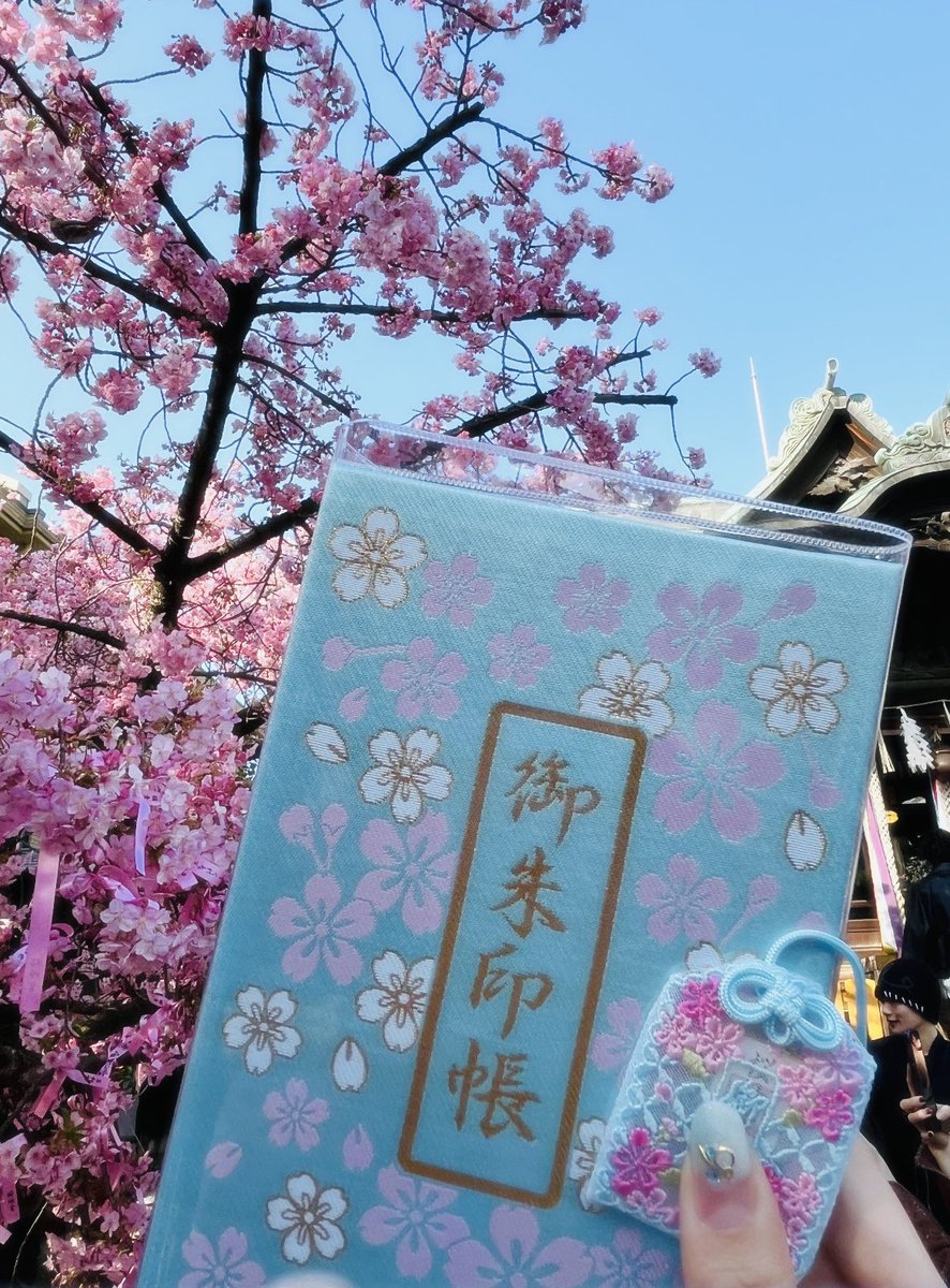 sukisukiCookie's tweet photo. 桜神宮🌸🩵
御朱印帳があまりにもかわいすぎて
ずっとほしかったおまもりといっしょに
お迎えしました(⸝⸝ᵕᴗᵕ⸝⸝) https://t.co/2EdXMcVU82