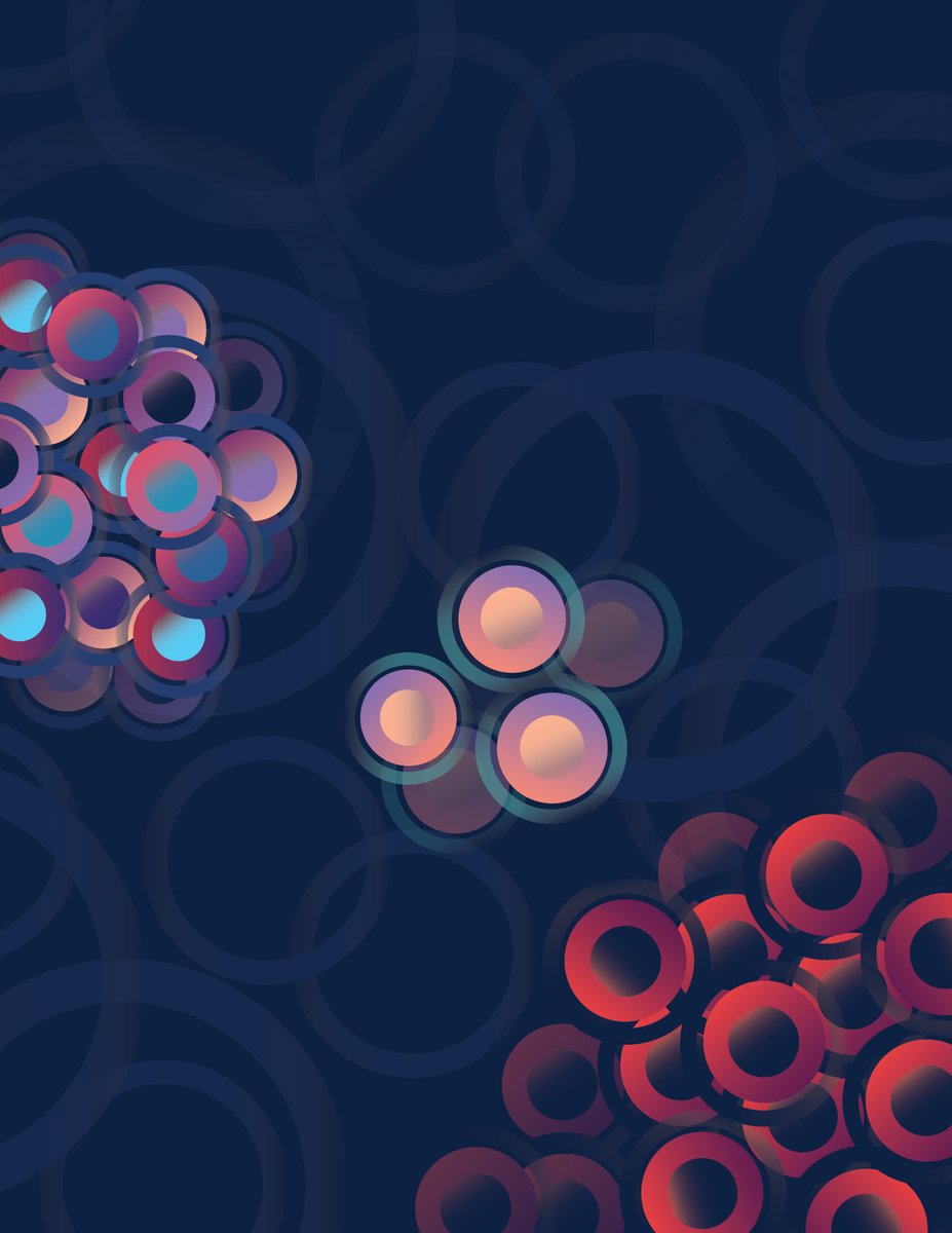 ElizSMcKenna's tweet image. ICYMI in @CD_AACR: Residual Breast Cancer Cells Co-opt SOX5-driven Endochondral Ossification to Maintain #Dormancy - by Amulya Sreekumar, Lewis Chodosh, and colleagues @PennMedicine @PennCancer