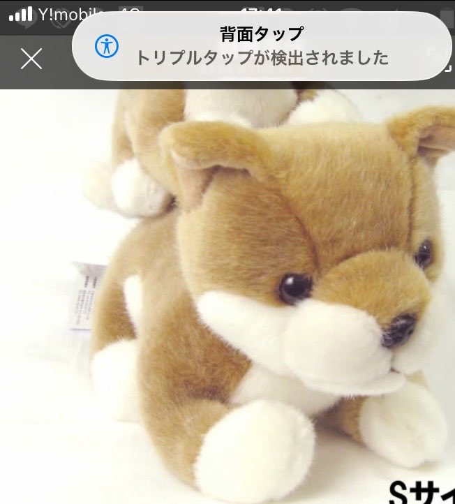 PainMico's tweet photo. 一月に大切な家族同様のぬいぐるみをなくしました
その子がオリエンタルトーイという会社のものだと最近わかりました
会社に問い合わせましたが今はもう手に入りません
もしお持ちのかたで、お譲り頂ける方がいらしたらご連絡ください

#ぬいぐるみ探しています#柴犬ぬいぐるみ https://t.co/HipvJ6ZCPU